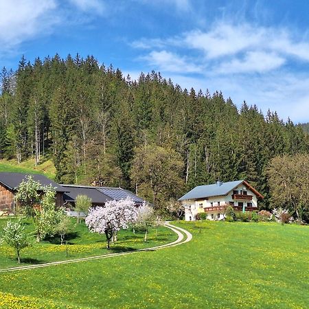 Villa Biobauernhof Poidlbauer à Göstling an der Ybbs Extérieur photo