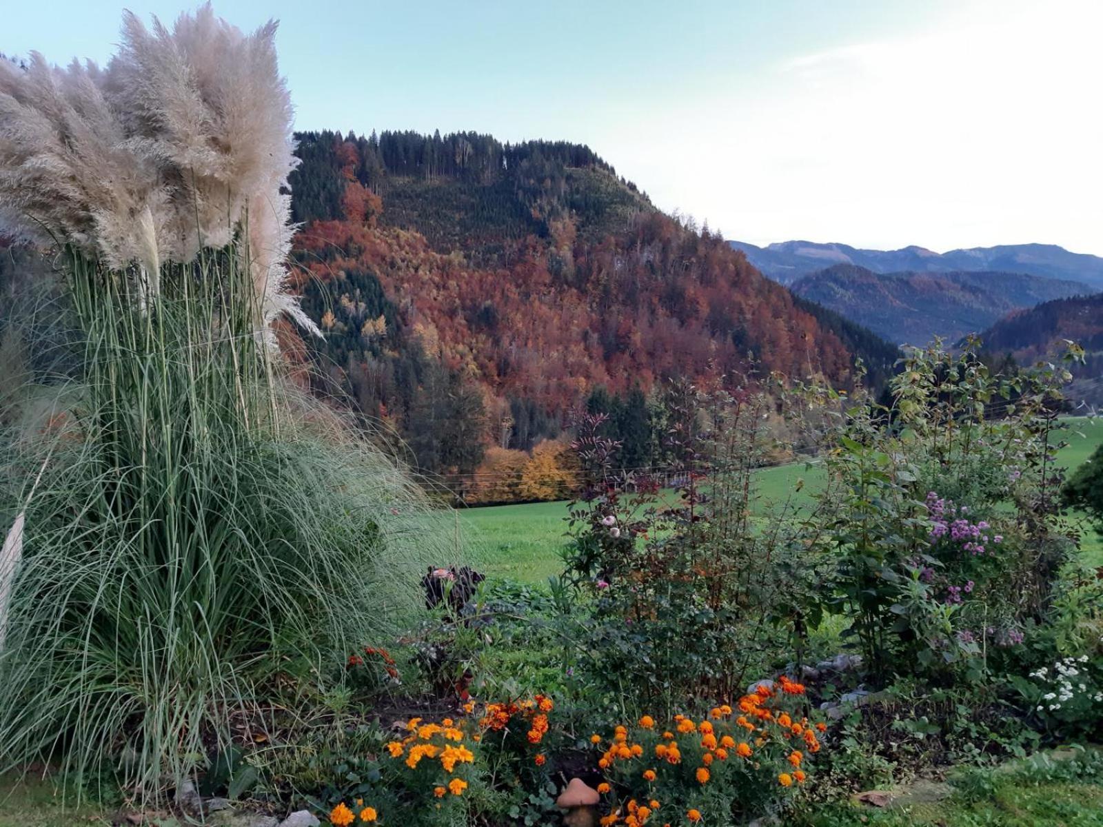 Villa Biobauernhof Poidlbauer à Göstling an der Ybbs Extérieur photo