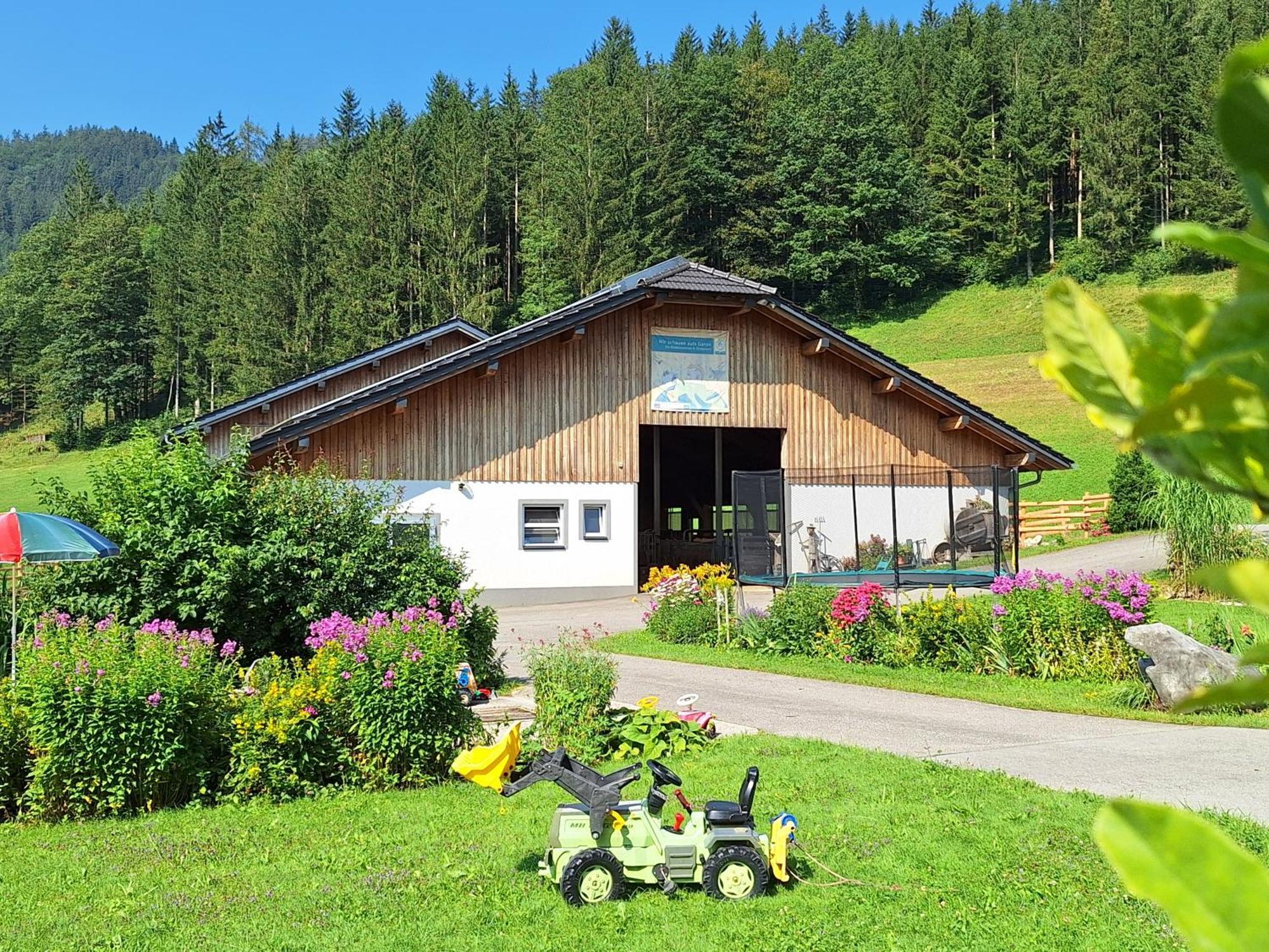 Villa Biobauernhof Poidlbauer à Göstling an der Ybbs Extérieur photo