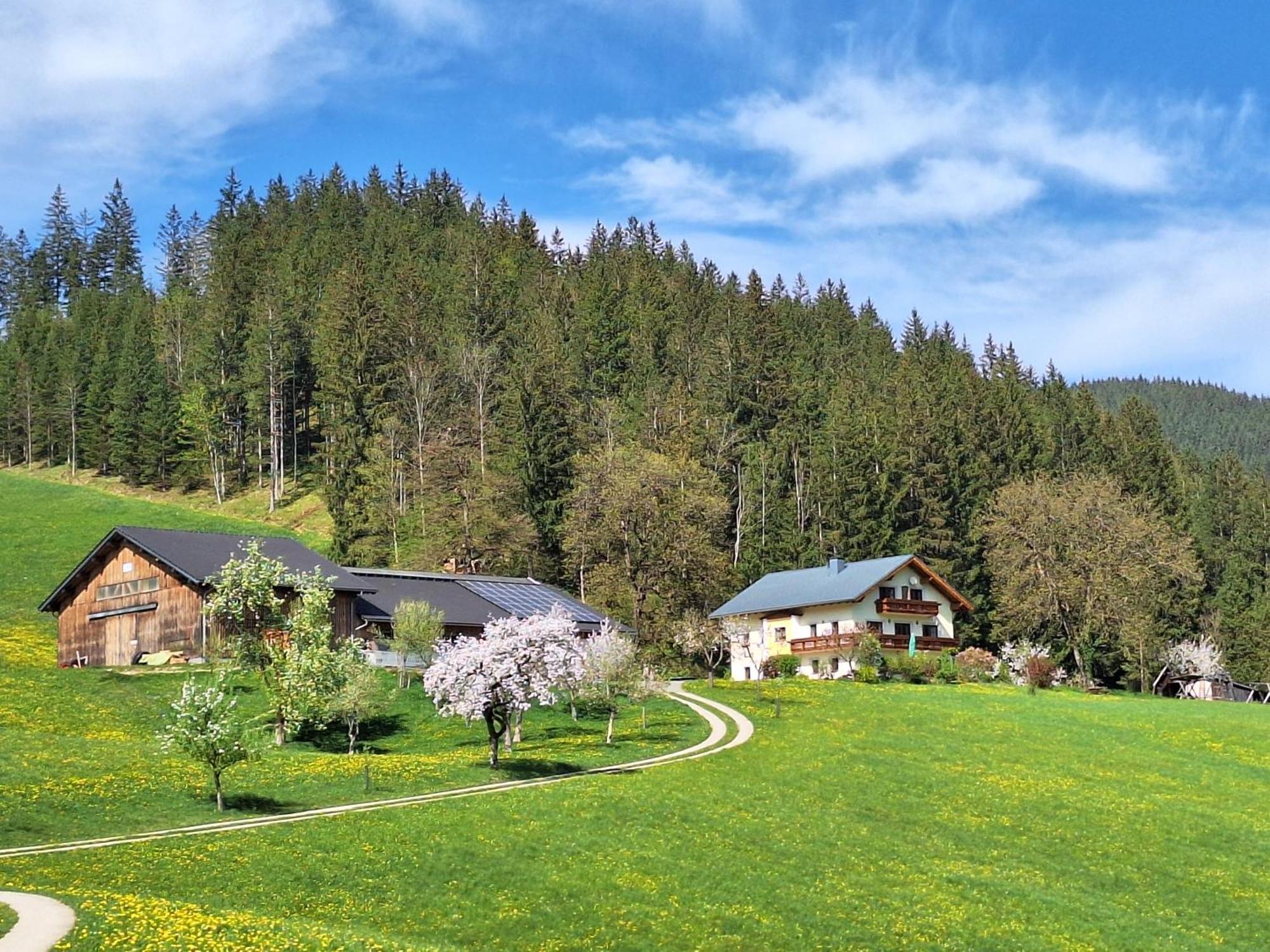 Villa Biobauernhof Poidlbauer à Göstling an der Ybbs Extérieur photo